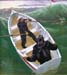 Rowing-to-the-Dan